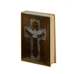 Biblia CH Rep E.Santo Oro