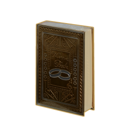 Biblia CH Rep Anillos Oro
