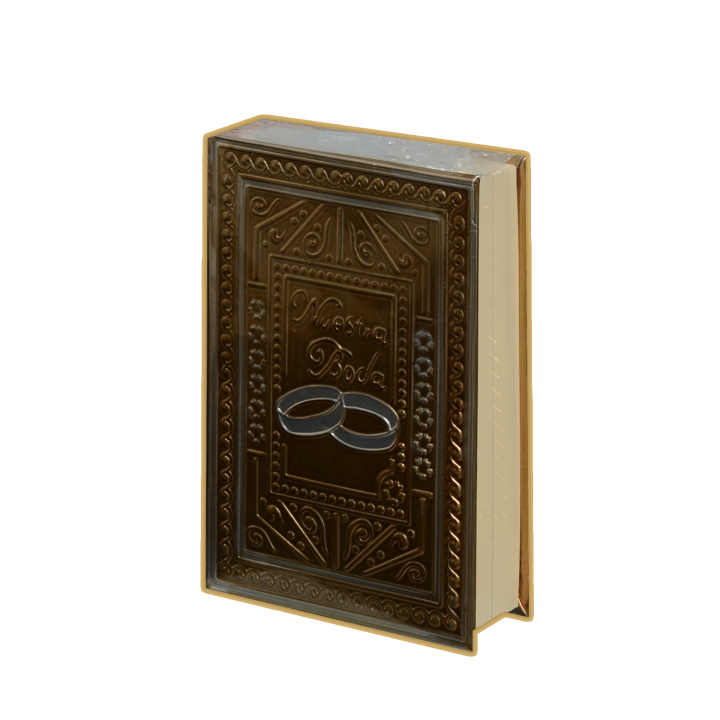 Biblia CH Rep Anillos Oro