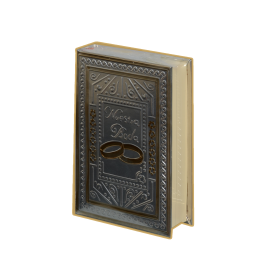 Biblia CH Rep Anillos Plata