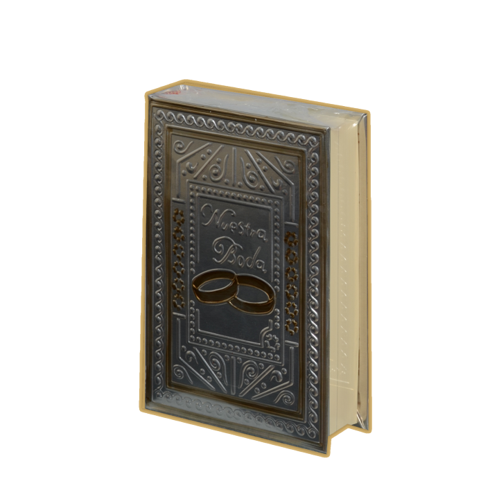 Biblia CH Rep Anillos Plata
