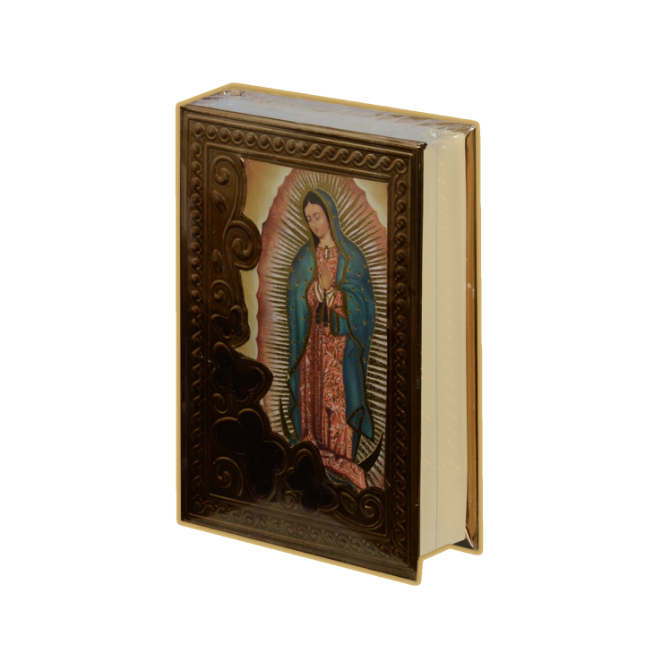 Biblia CH Rep CC Mariposas oro