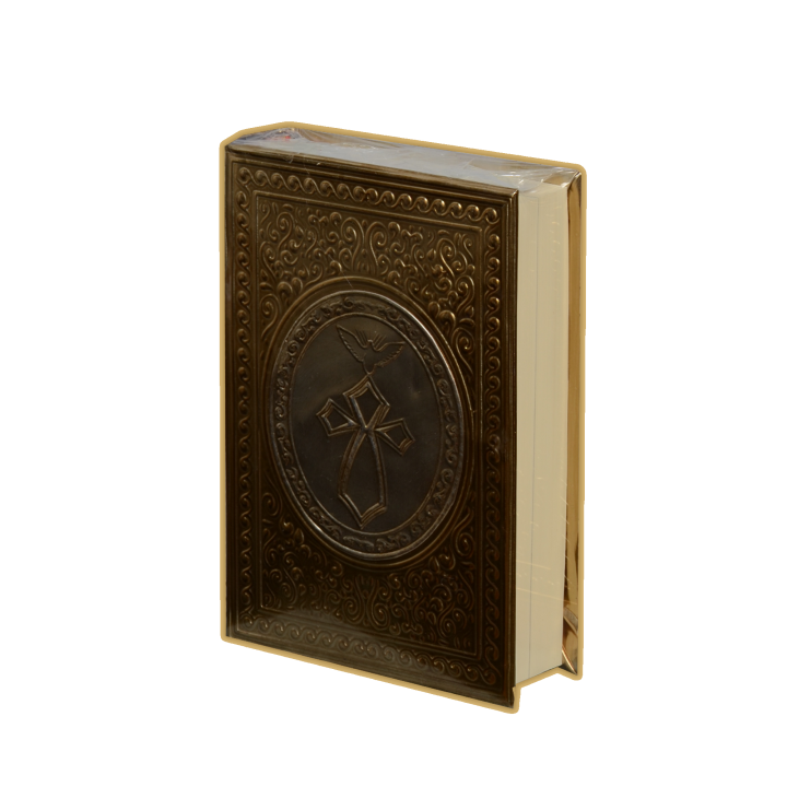 Biblia CH Rep Apl. Cruz/E.Santo Oro