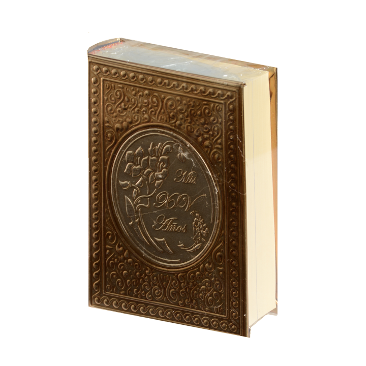 Biblia CH Rep Apl. Mis XV Oro