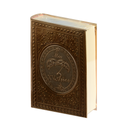 Biblia CH Rep Apl. Sombrilla Oro