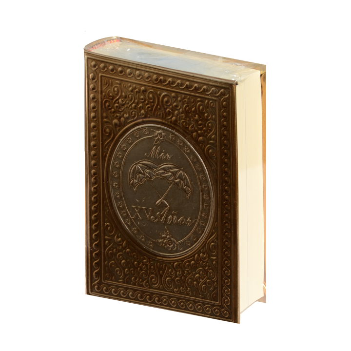 Biblia CH Rep Apl. Sombrilla Oro