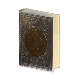 Biblia CH Rep Apl. Sombrilla Plata