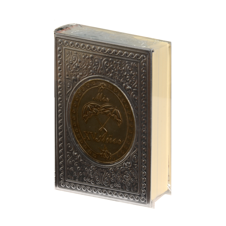 Biblia CH Rep Apl. Sombrilla Plata