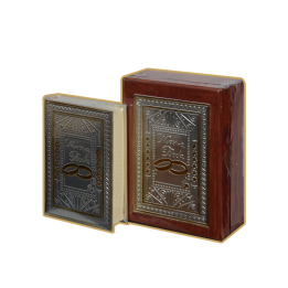 Biblia CH Mad Anillos Plata