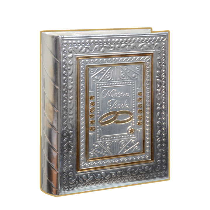 Biblia Gde Rep Anillos Plata