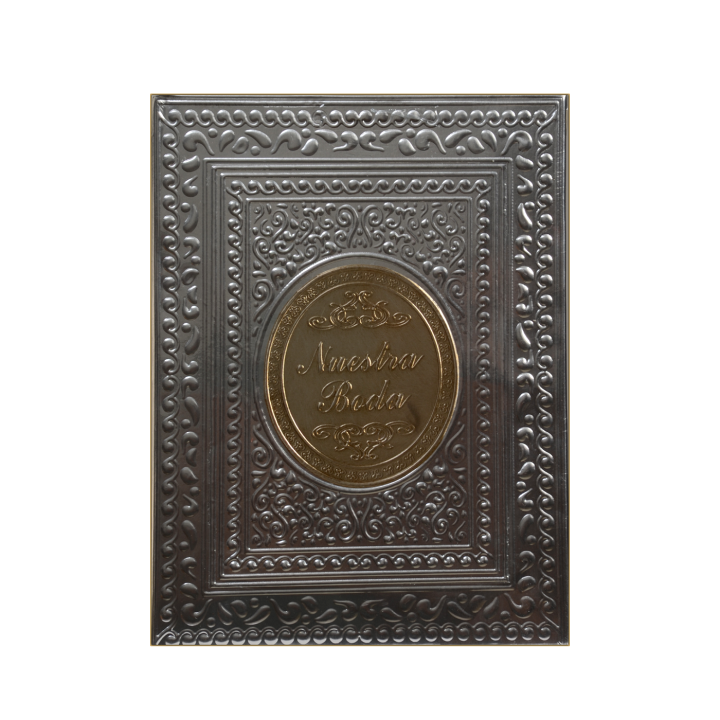 Biblia Gde Rep Apl. Boda Plata