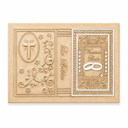Forro Rep Biblia CH Anillos Oro